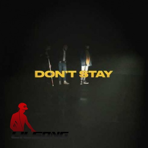 X Ambassadors - Dont Stay